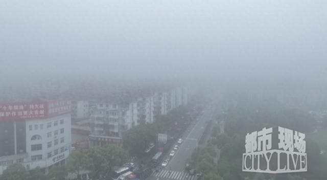 雾天如何行车更安全？这份出行指南请收好！