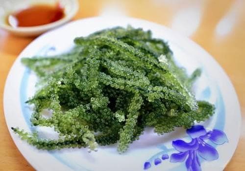 海葡萄的营养价值与三种美味食用方法