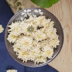黄山贡菊的功效与作用