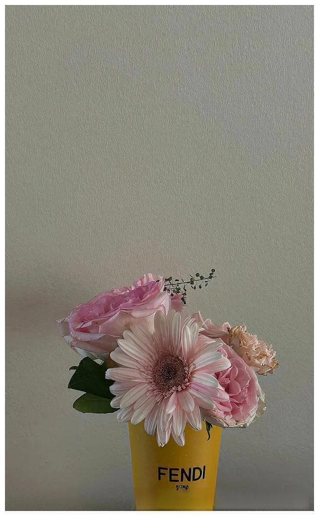 女性如何维护婚姻关系：独立与魅力的平衡