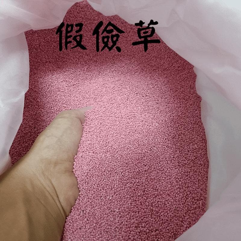 草坪种植：裹粉种子与未裹粉种子的优劣分析