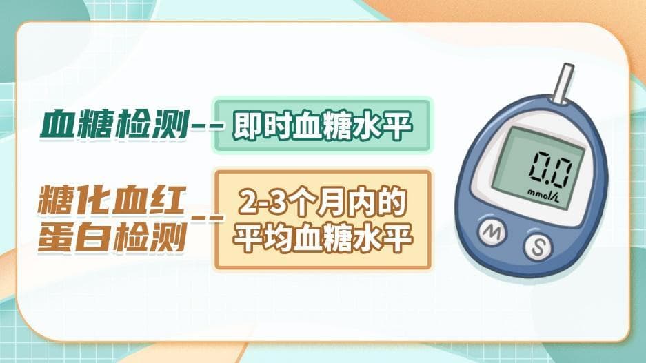 糖化血红蛋白：糖尿病患者的长期血糖“监控器”