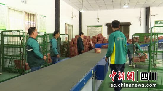 泸州泸县：快递行业包装实现绿色化循环