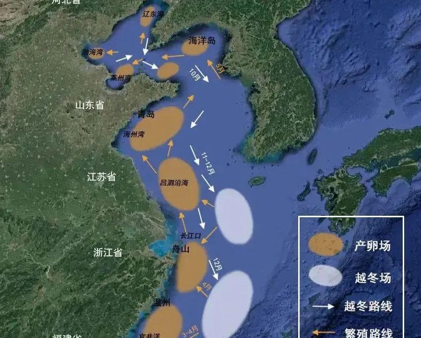 高考地理中的渔场类型