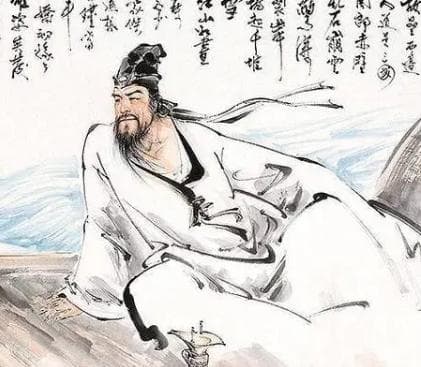苏东坡：宋朝的文学巨匠与社会影响者