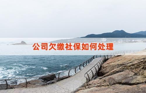 公司欠缴社保如何处理？详解应对步骤与策略