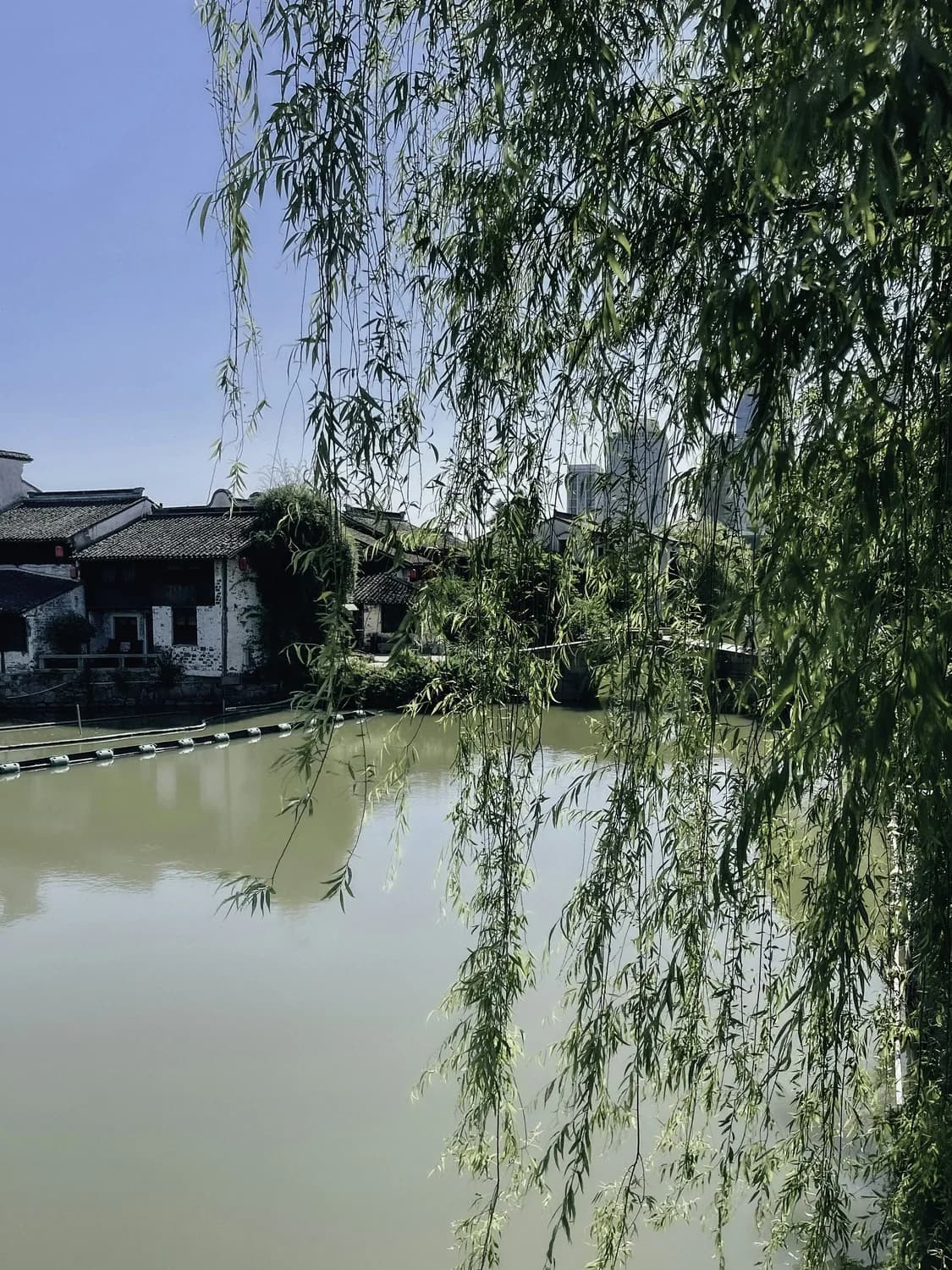 古诗词里的生活智慧，你get了吗？