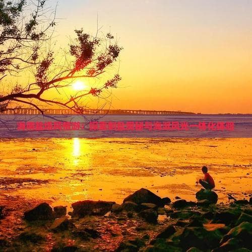 海南盐场风情游：探索制盐奥秘与海滨风光一体化体验