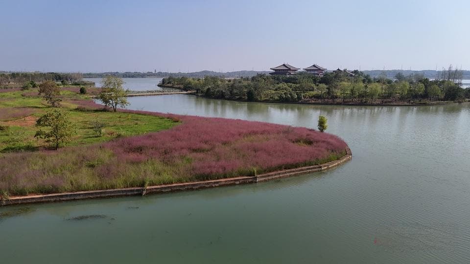 从"丑小鸭"到"白天鹅"：松雅湖的生态蝶变之路