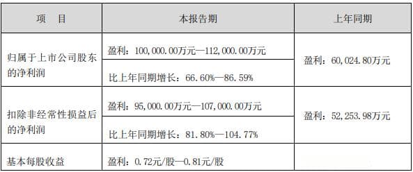盈利破10亿元股价却大跌，水晶光电的投资者在担忧什么？