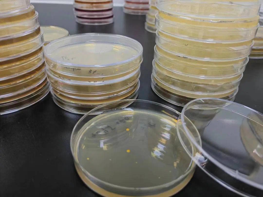 奶茶2小时饮用指南：科学解读与实用建议
