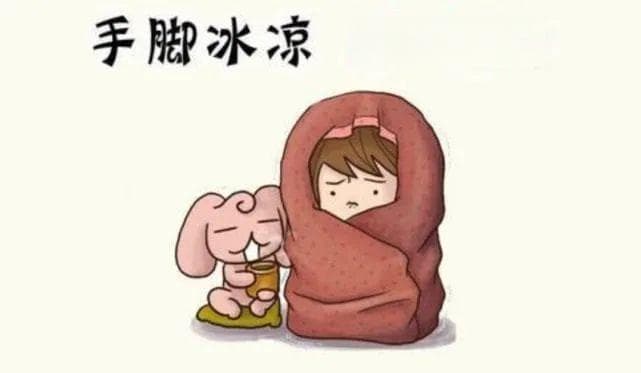 手脚冰凉暖不起来，中医教你这样食补