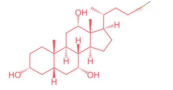 胆酸的作用与功效