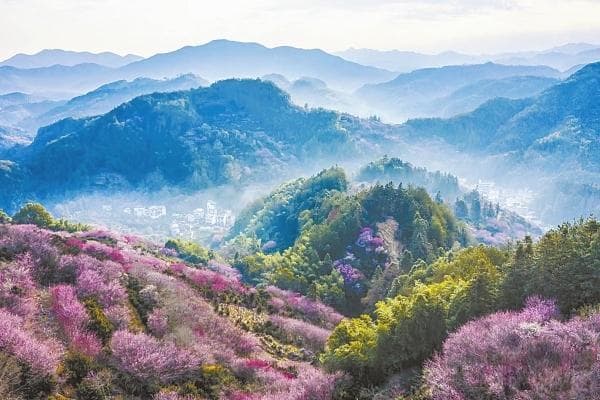 臭鳜鱼、腌笃鲜：徽菜里的发酵智慧