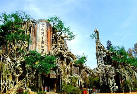 云南野生动物园：珍稀动物观赏与互动体验指南 🐒