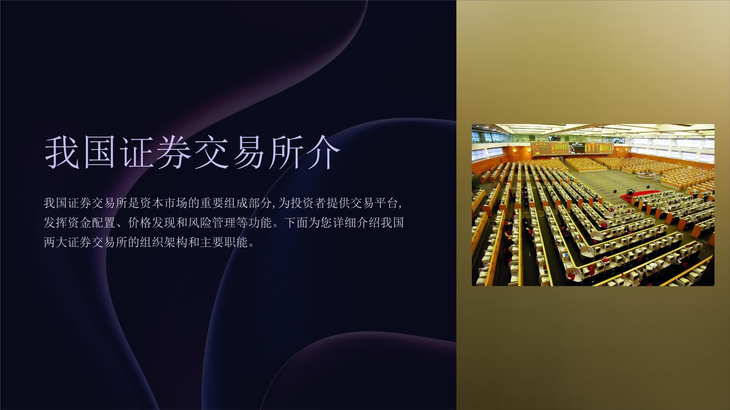 中国证券交易所：上海证券交易所与深圳证券交易所的全面解析