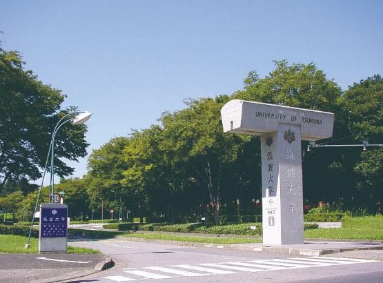 日本筑波大学哪个专业好