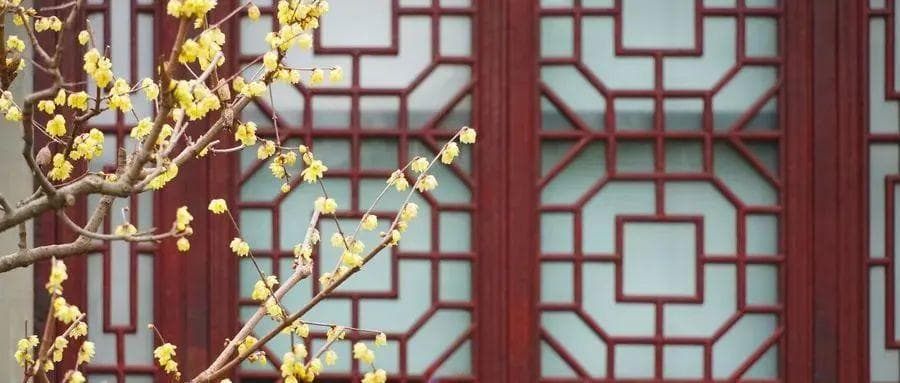 绍兴12处最佳赏梅地，请查收