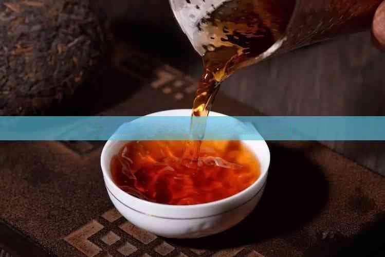 汝窑瓷器泡什么茶好？适合泡什么茶好喝又合适
