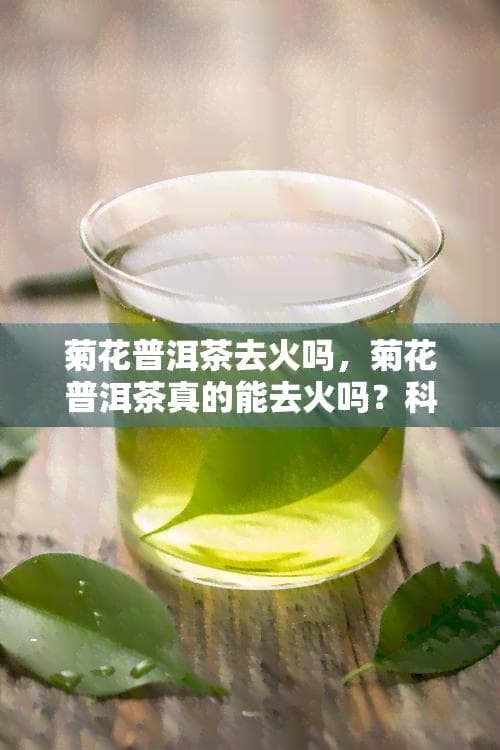 菊花普洱茶去火吗，菊花普洱茶真的能去火吗？科学解析
