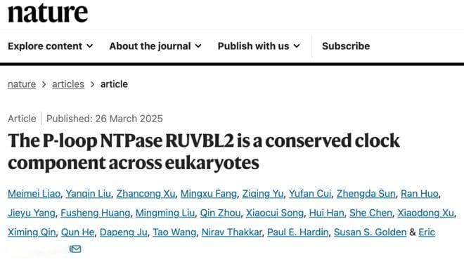 Nature：张二荃团队揭示RUVBL2是真核生物钟的核心起源分子