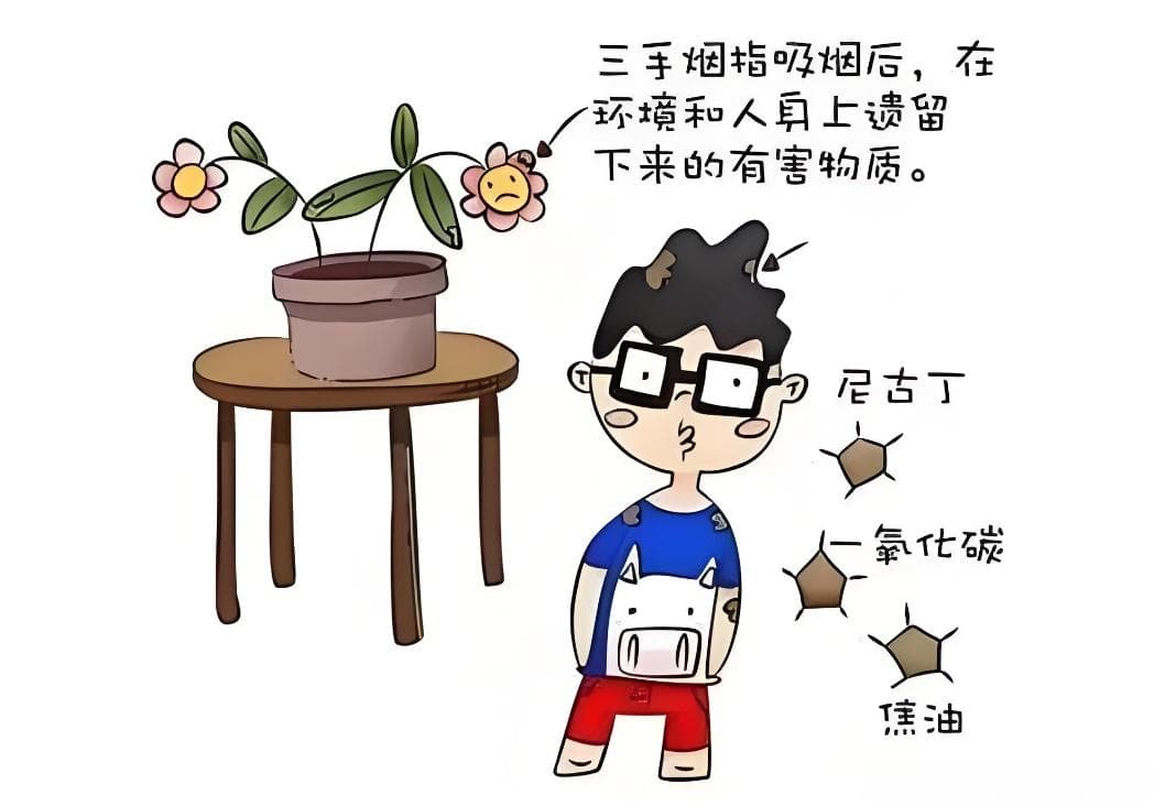 别让“三手烟“成为危害儿童健康的杀手