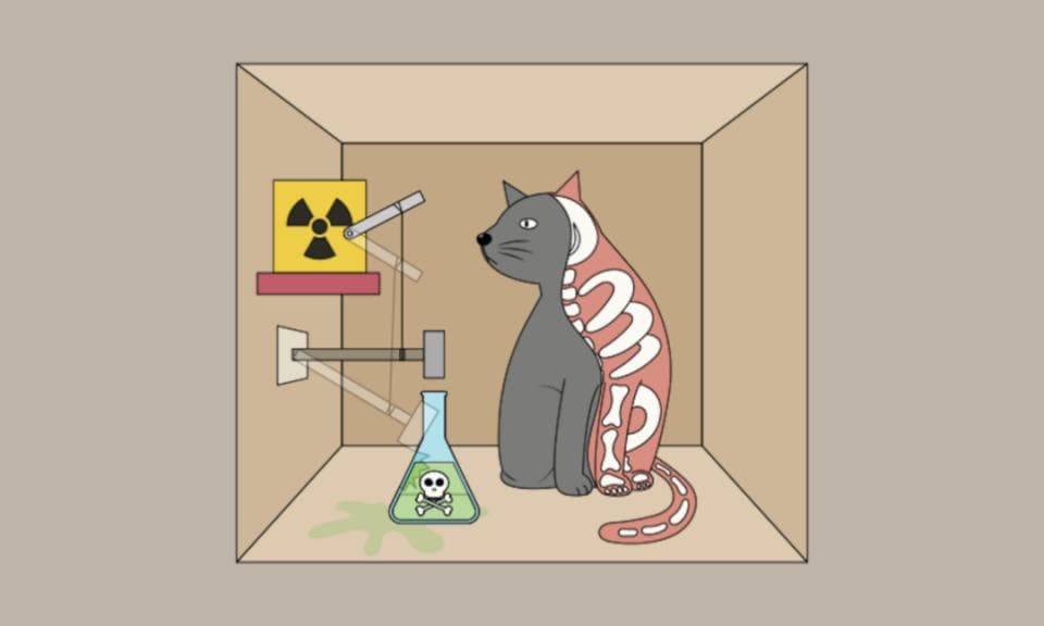 薛定谔的猫如何一战成名