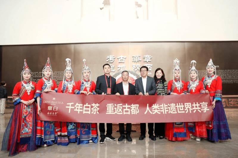 福鼎白茶非遗传承人走进陕西考古博物馆