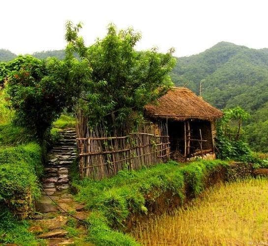 水煮牛肉的历史渊源与文化背景