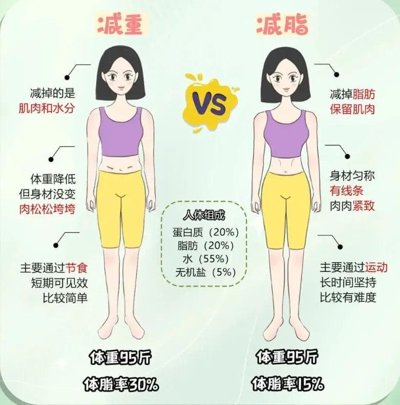 减重≠减脂！想要减肥，这些知识应知道