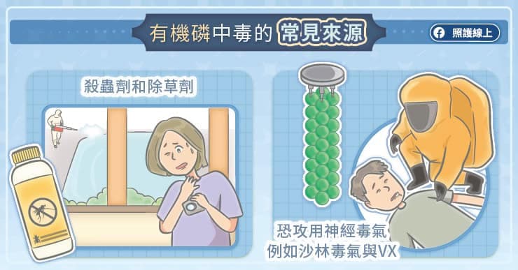 什么是有机磷？中毒会怎样？紧急处置不能等