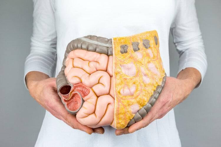 极限憋屎3年，身体会发生什么变化？便便都去哪儿了？涨知识了