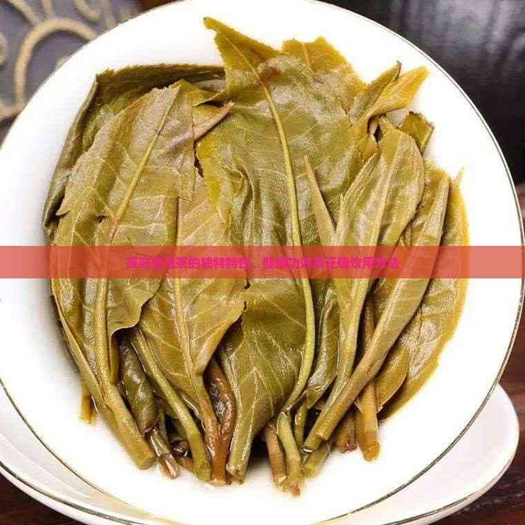 探究普洱茶的独特特性、健康功效及正确饮用方法