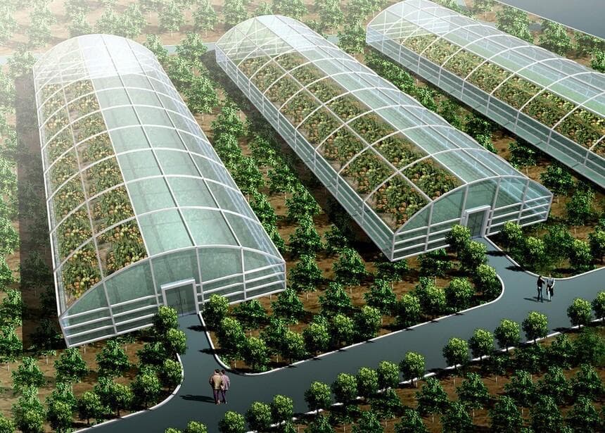 温室大棚从设计到建成分为几个步骤和要点？