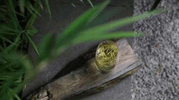 红茶储存技巧及保存建议