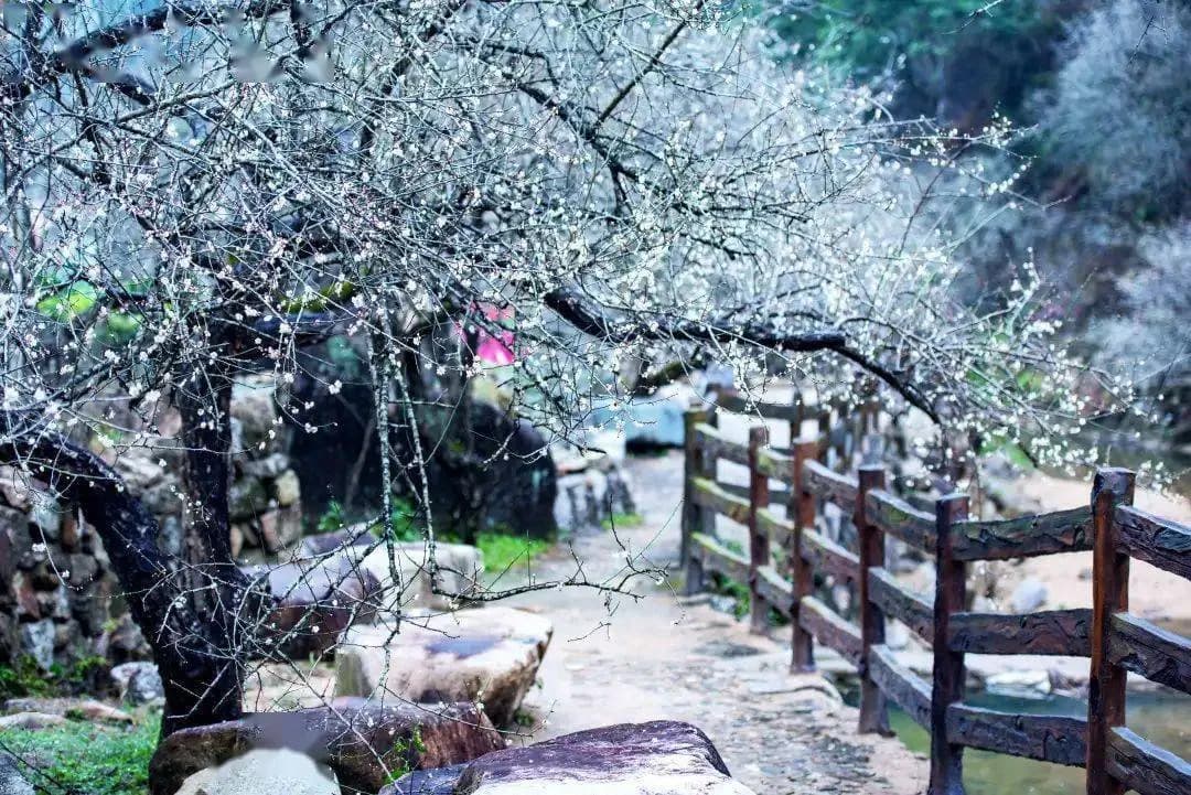 《诗经·静女》中的思政元素挖掘 ——文本背后的审美观与恋爱观分析