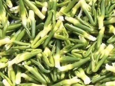 莲子心：一味中药的多重健康效益