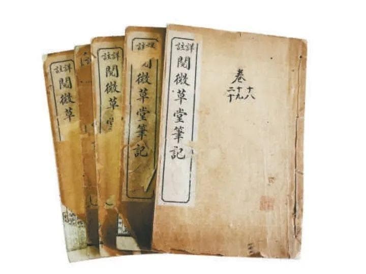 《阅微草堂笔记》：寓情理于简洁淡雅之中