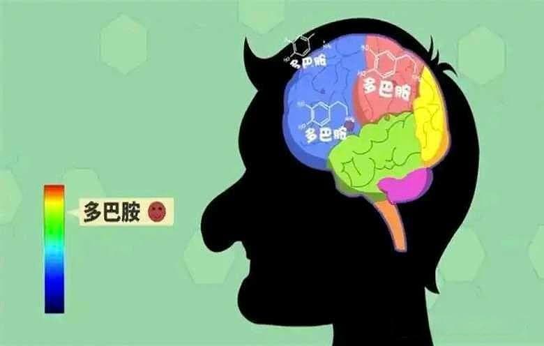 炒股炒的是多巴胺