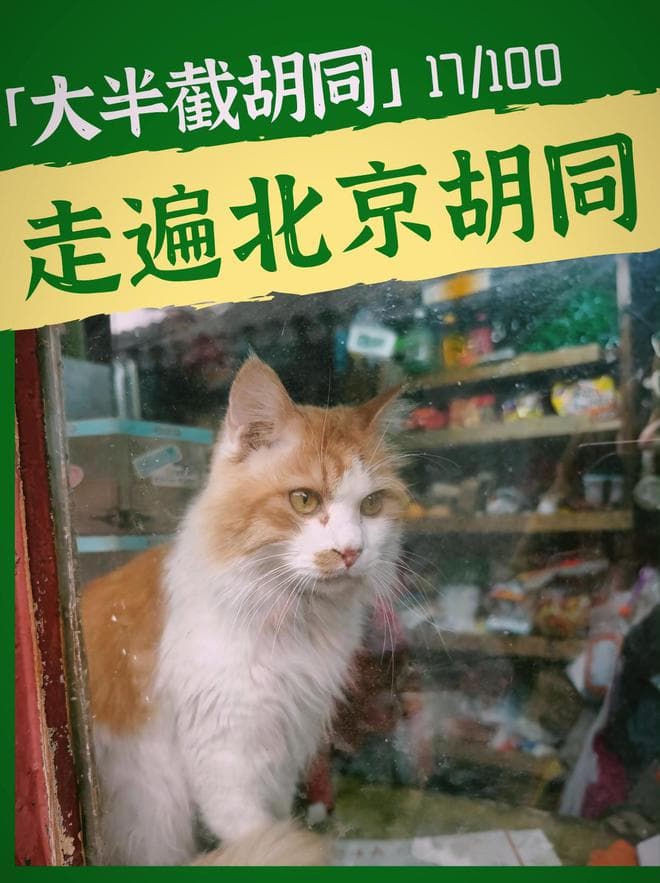 老北京的记忆：大半截胡同深度游，一条小巷映射大历史