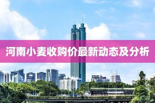 河南小麦收购价最新动态及分析
