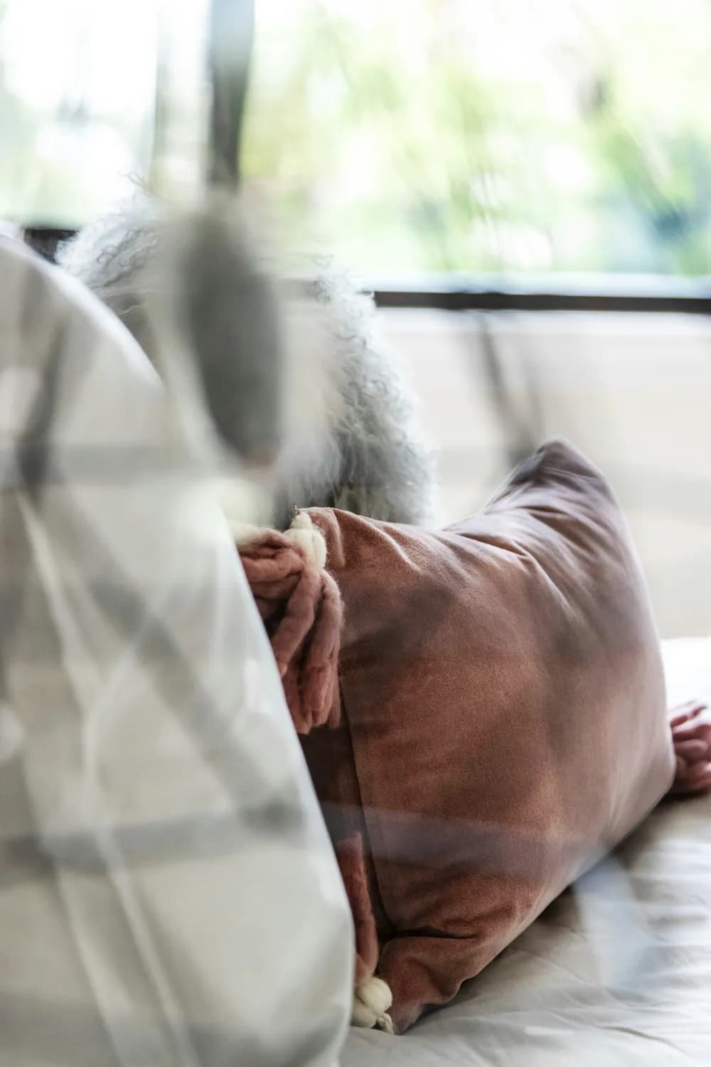 最新研究：老年人睡眠时间与心理健康密切相关