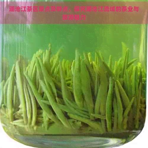 澜沧江茶区景点及特点，探究澜沧江流域的茶业与旅游魅力