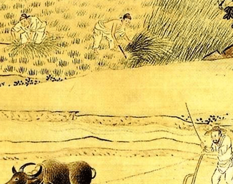 古代农业生产是什么样的？农民开荒到底有多难