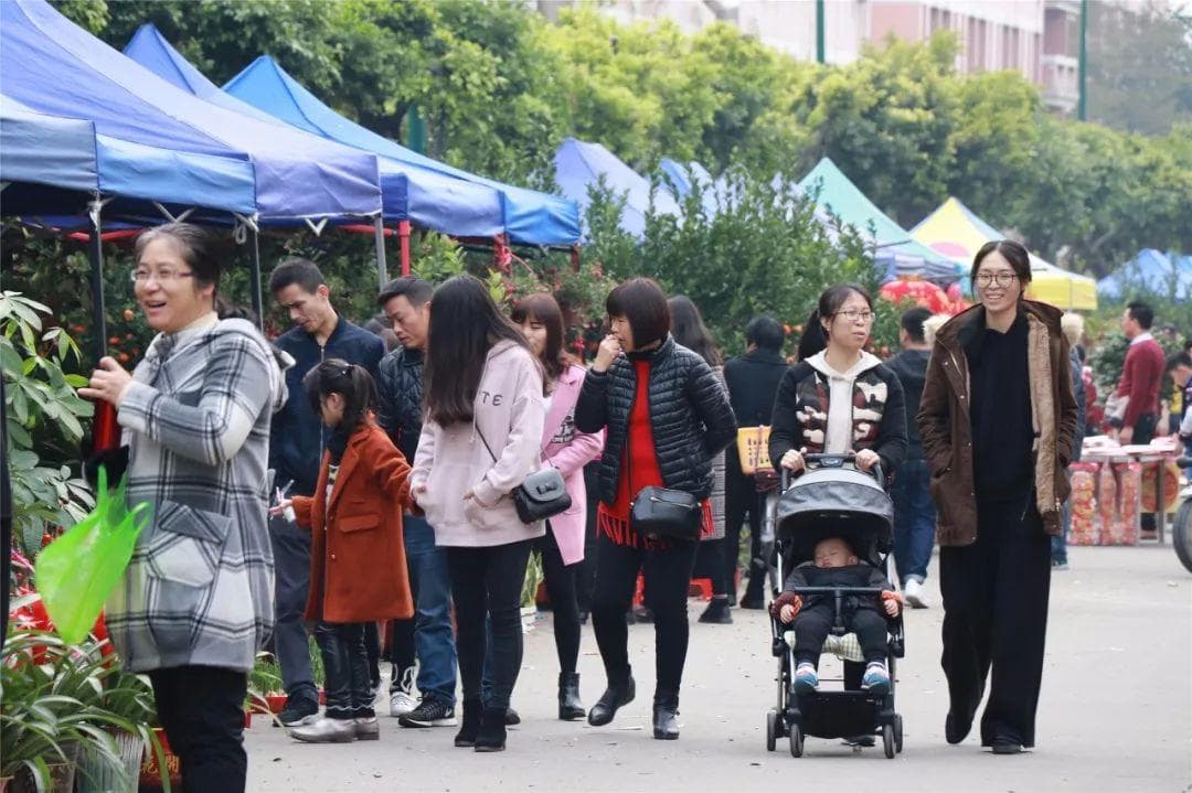 2025年佛山迎春花市时间地点全攻略