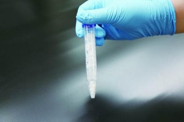 中国科学家成功实现二氧化碳人工合成淀粉