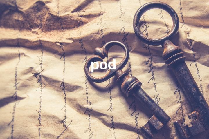 Pod的含义、发音及用法详解