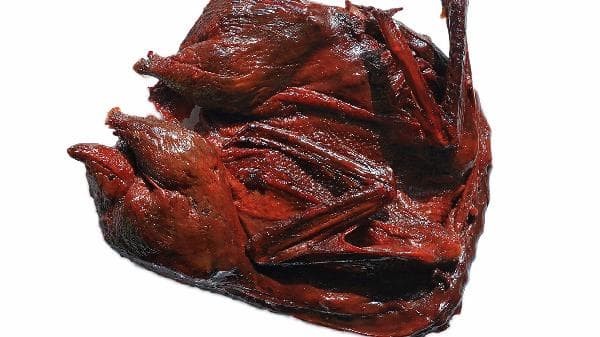 肌肉与寿命的关系密切