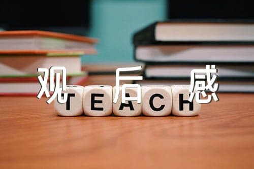 飞夺泸定桥观后感四篇