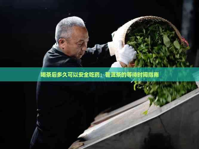 喝茶后多久可以安全吃药：普洱茶的等待时间指南